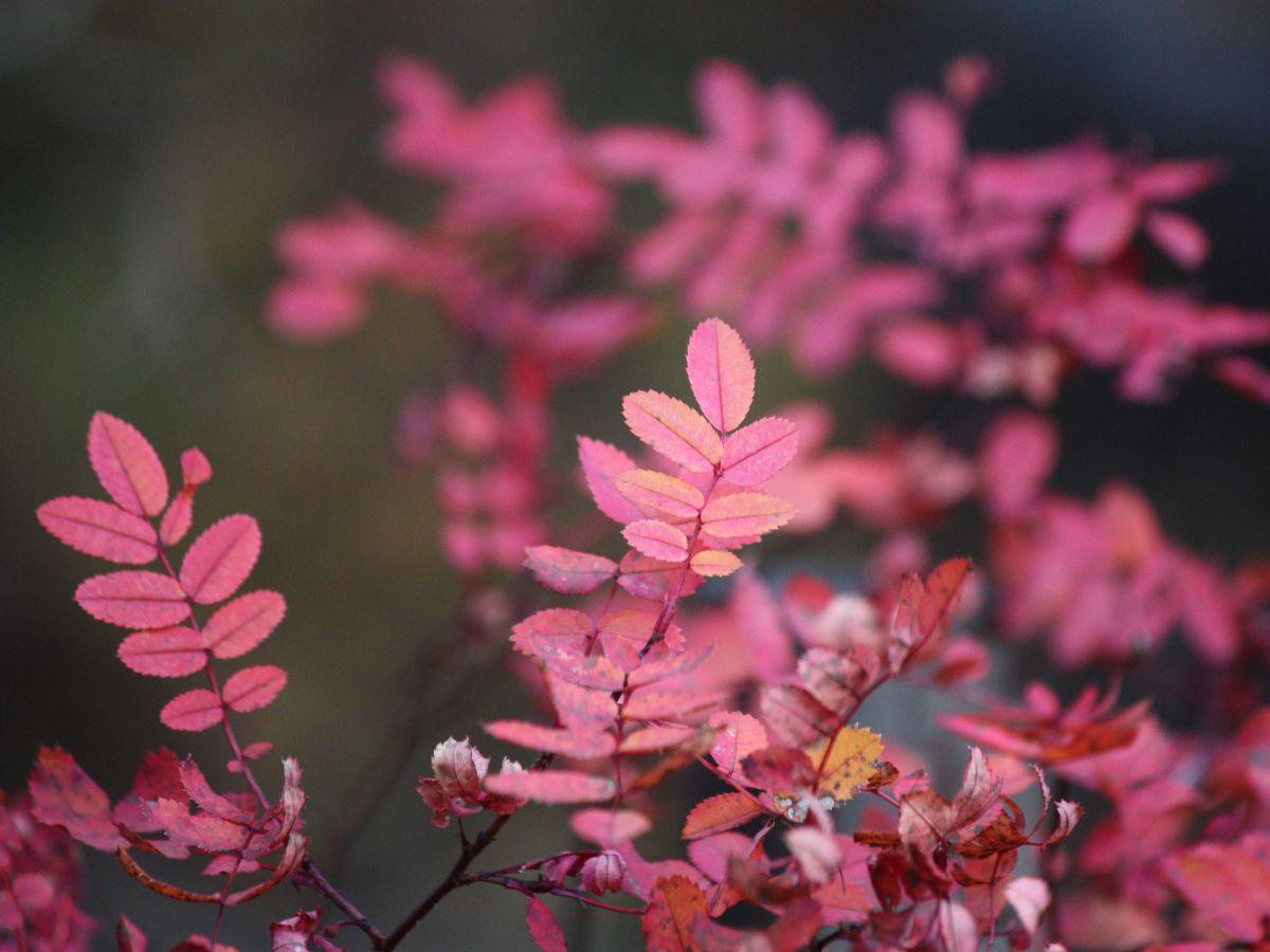 Tavallisia tarinoita